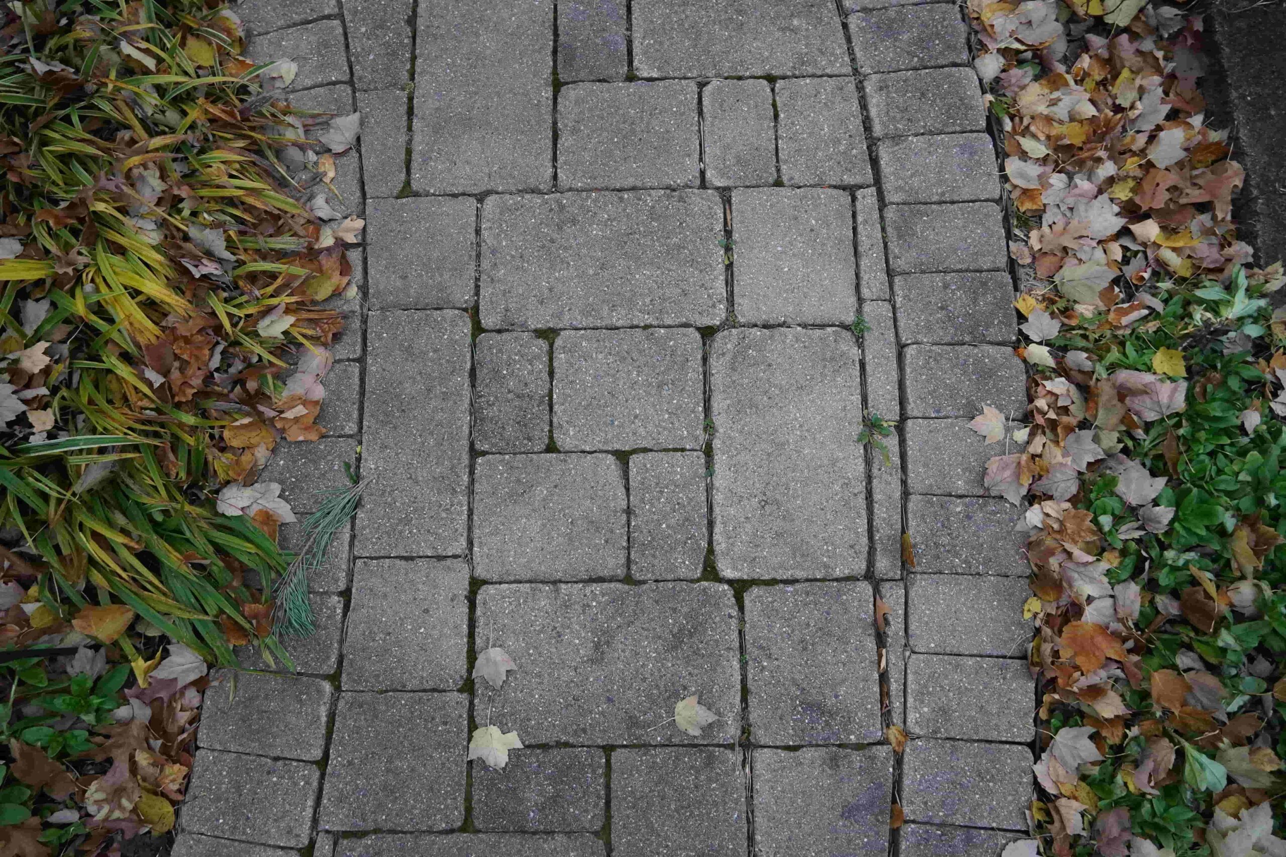 a stone path with leaves on it